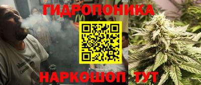 Альфа ПВП Севастополь