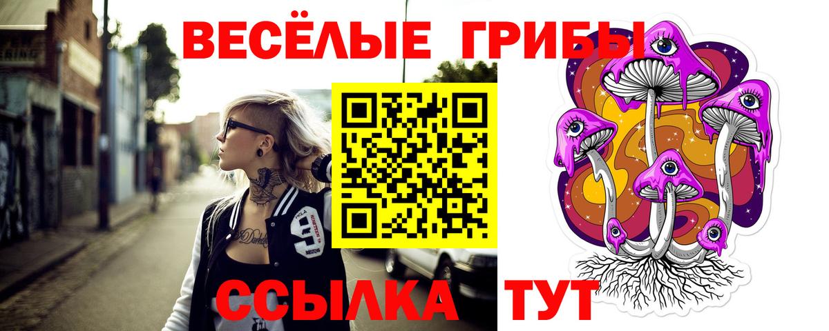 Псилоцибиновые грибы Magic Shrooms  Галлюциногенные грибы ЛСД  Сальск  Вход с VPN 
